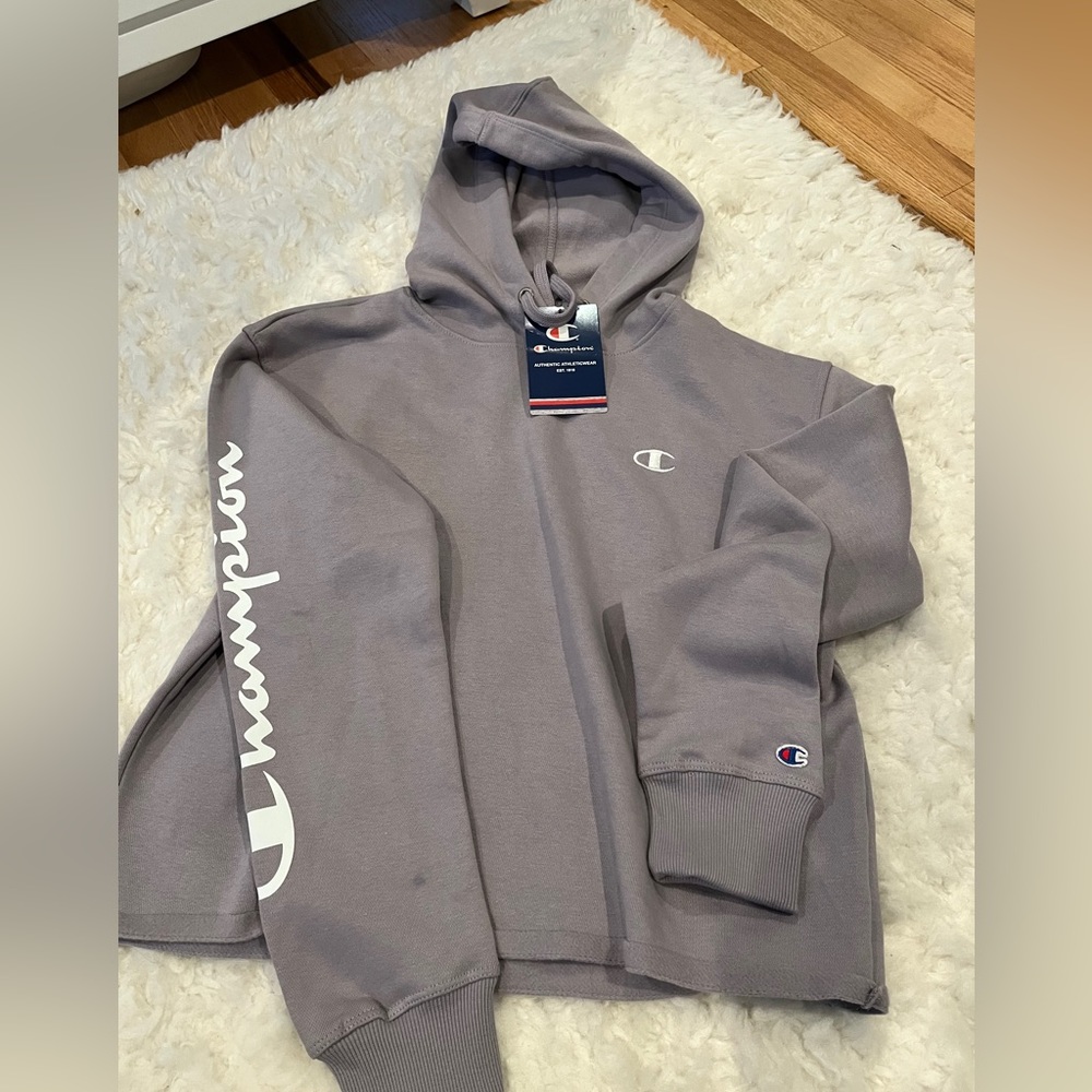 Champion Hoodie Sweatshirt NWT